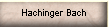 Hachinger Bach