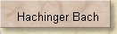 Hachinger Bach